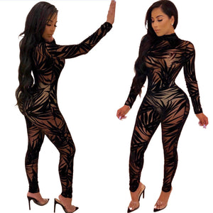 Sexy Mesh Hollow  Jumpsuit